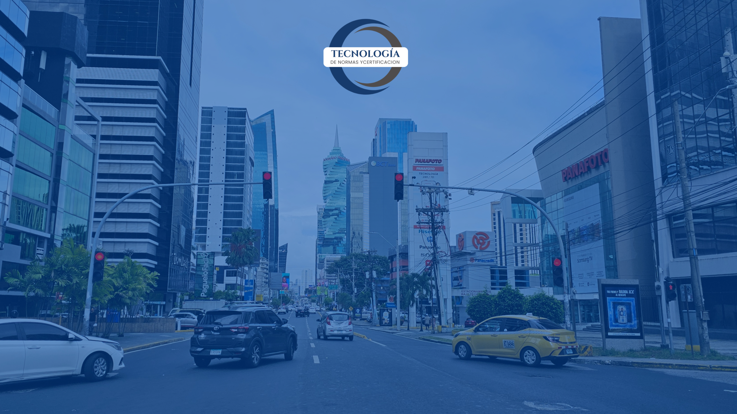Fotografía ilustrativa del servicio de certificación ISO 14001 en Panamá, realizado por Tecnología de Normas y Verificación S.A., certificadora acreditada bajo esquema IAF. Refleja nuestro compromiso con la gestión ambiental, reducción de impactos y cumplimiento de estándares internacionales.